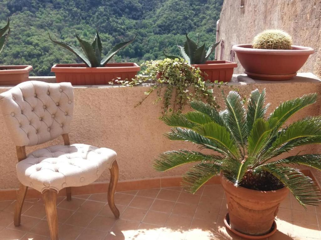 La Casa Della Filanda * Belmonte Calabro